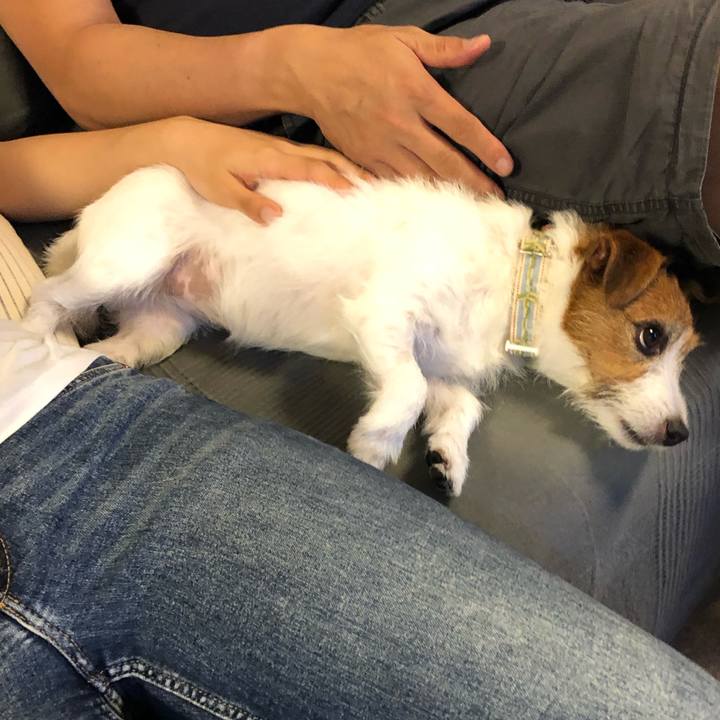 1175f73c edee 48b9 b30c 26ccd5c5e9e1 1595541837974