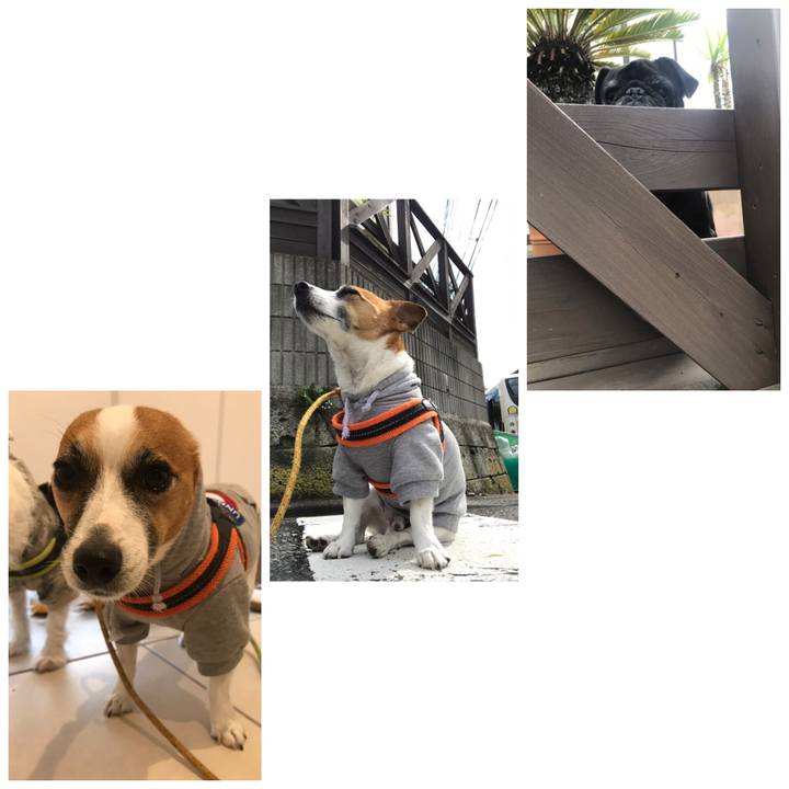 11760304 fe41 4a8e 89e9 a76068043605 1539739443491