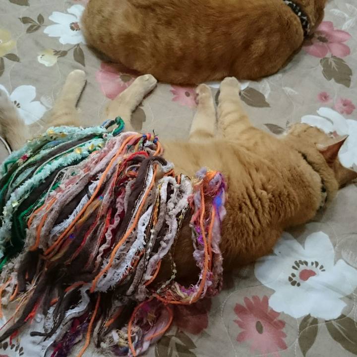 11761517 a8e9 4a2c ab2b 8a161cf4138e 1540125039394