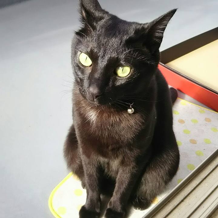 117618eb 3e0d 4059 a30c 225d83b4559b 1545538717549