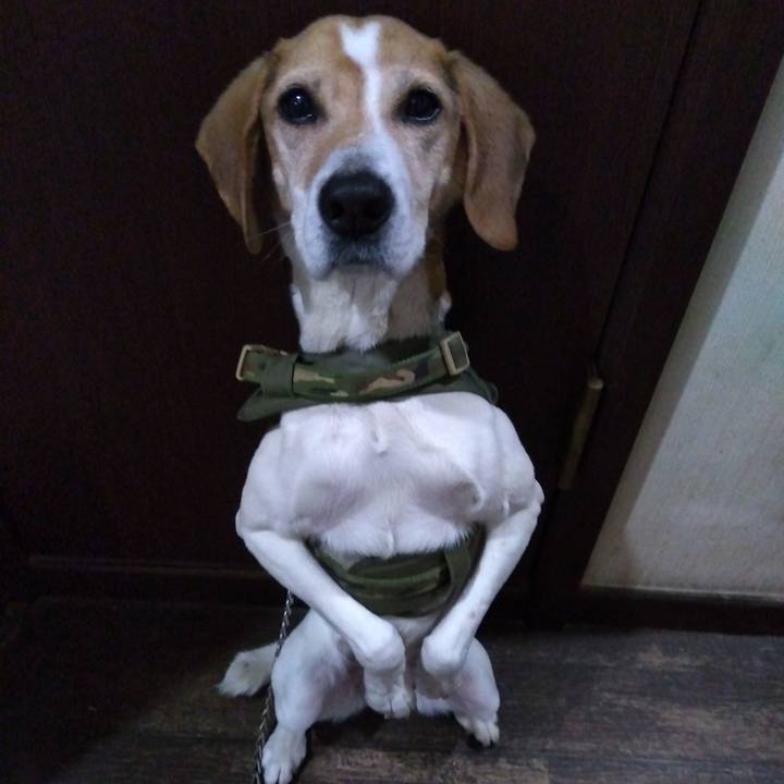 11761c6e b57f 4fc0 9da2 2e01d6a5d7ae 1713703872445