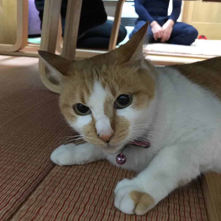 117651cf 30fb 43b0 ae26 25d6f1182601 1509441768711