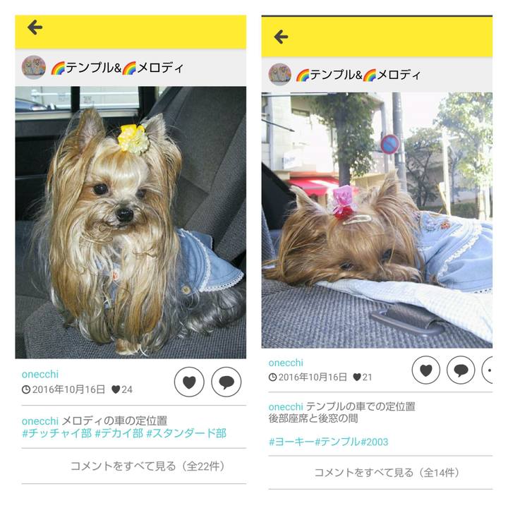 11766bb1 77dd 4f71 9177 ede7a097934c 1622469241329