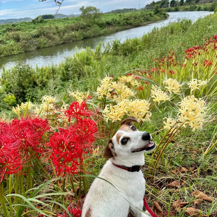 11767e11 7011 4ef4 8d06 16f22b82331c 1759213071476