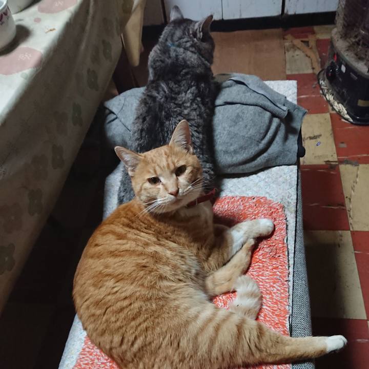 1176c826 325b 4d72 ba08 49506e9a43a7 1575114431299