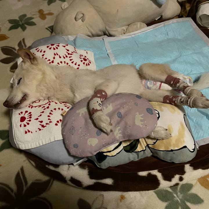 1176d2a7 25bc 49d2 b459 39e8ab6e6247 1682985609590