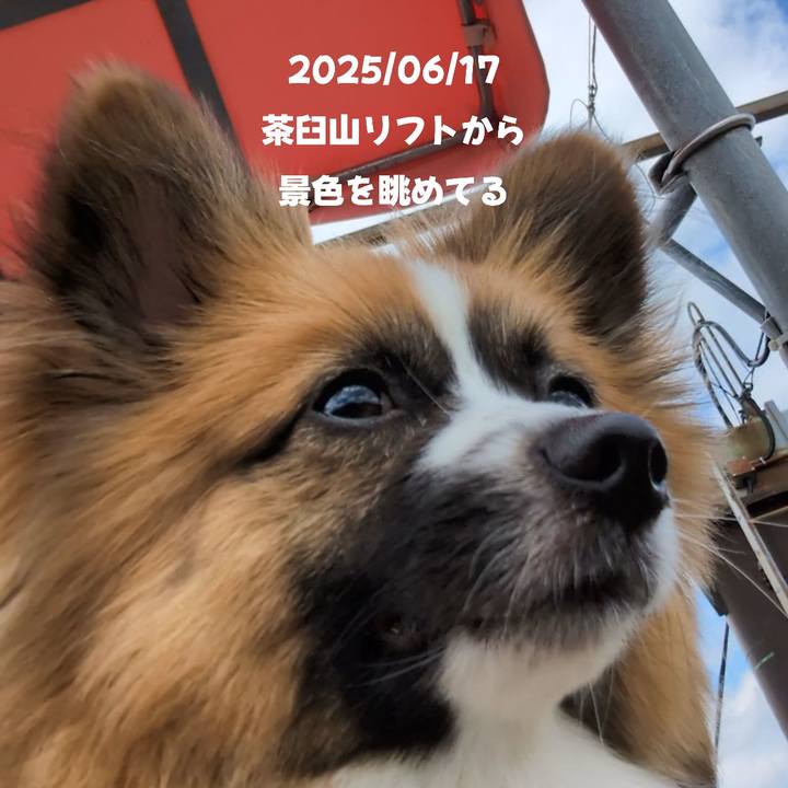 11773db0 b6cf 4388 919d e02c0dbbb030 1750257915843