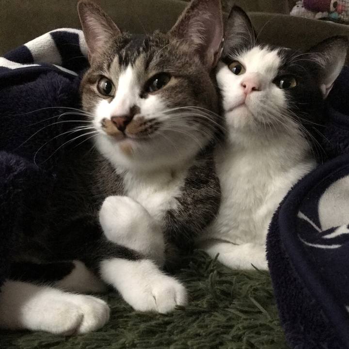 11774017 b403 4695 a388 b1c3cc206a2c 1513220163692