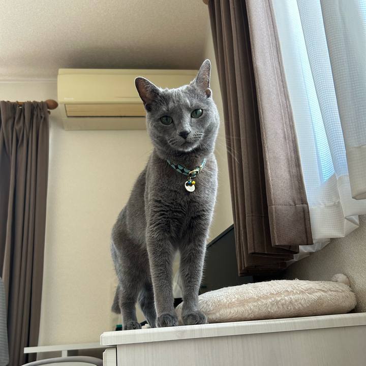 11775b89 c8d7 467f 88d5 7d6d7b752d80 1685832872929