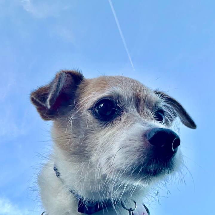 11776a2f 0284 450b 9a88 5ed9553769dc 1725231651965