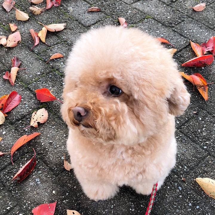 11777595 f01e 4859 b1a3 b81c21997396 1510711048966