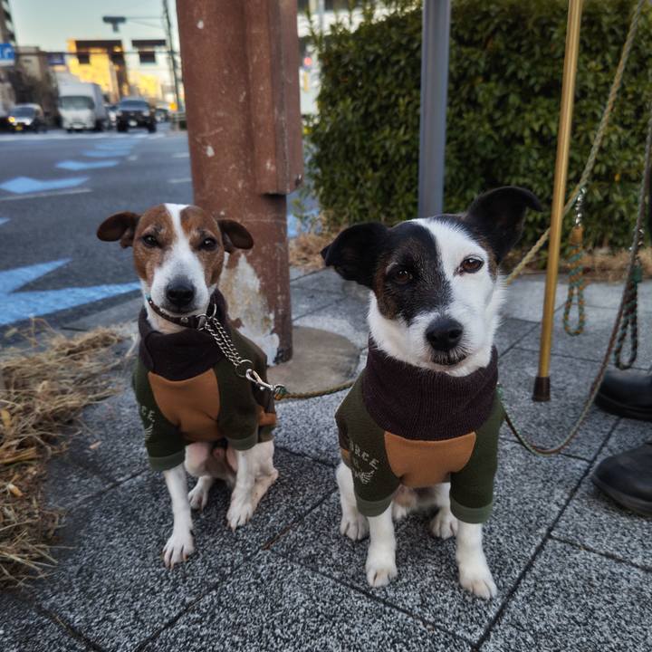 11778547 ff6f 455a 9648 8511de4ccdbc 1739570496431