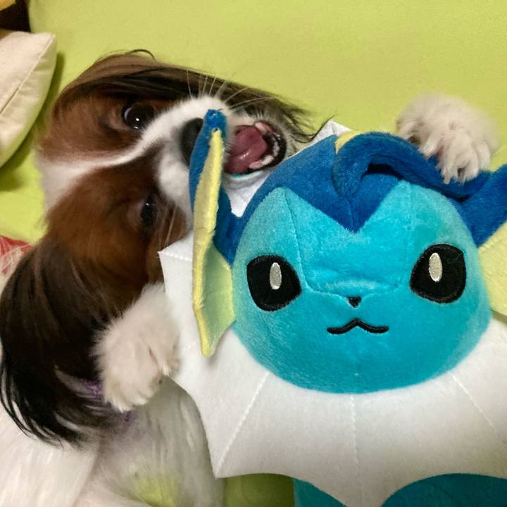 1177923b 35fd 41c6 883b dbf470fedf14 1641699285968