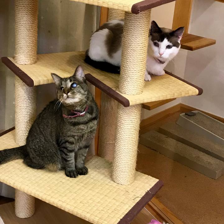 1177968f 61e3 4a1f b74d 0e7bfd2b3831 1534414905616