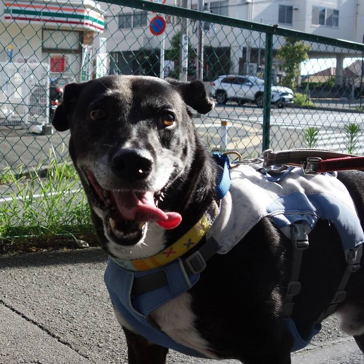 1177a4c1 e13a 45e5 b241 1fa815e80cc8 1752882541923