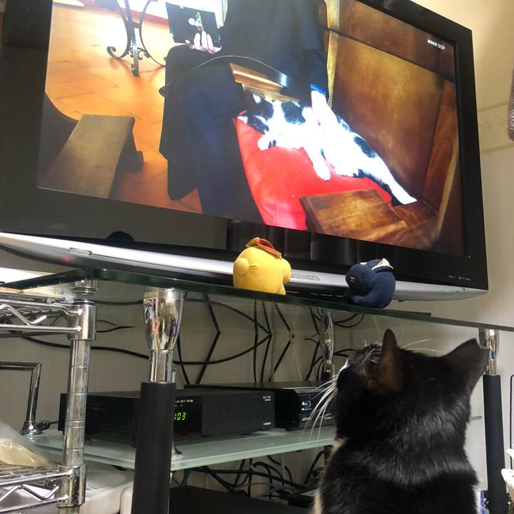 1177e7f2 1ac9 4d98 89c4 5de8d6638abf 1612921995596