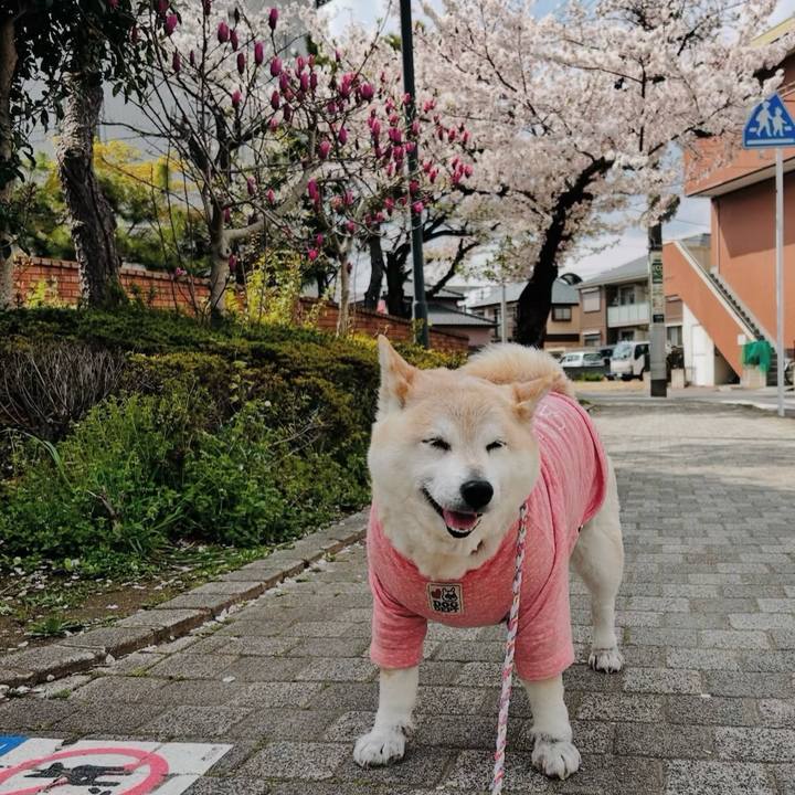 1177e8a5 d27b 445c 8450 a9354ff3b8cd 1758605677024