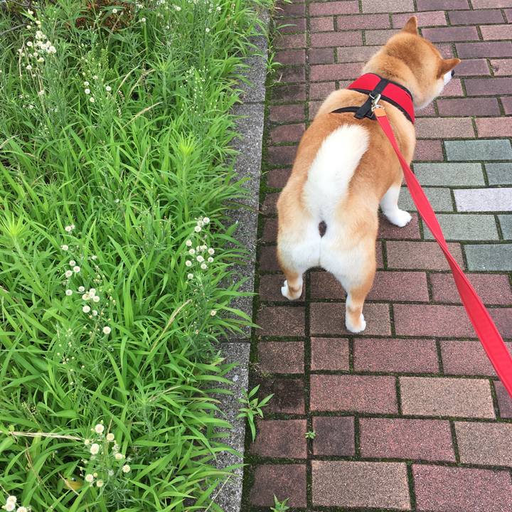 11781735 0595 41c6 b948 3cb15bab1244 1594186162012