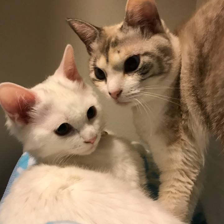 1178214f 5b4f 456f b360 1e4b251dbeec 1511354693266