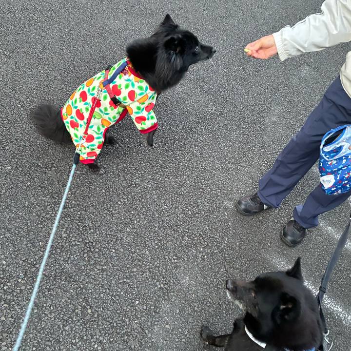 117825bb a62f 4c6a ba36 c78ac0f21738 1768262580563