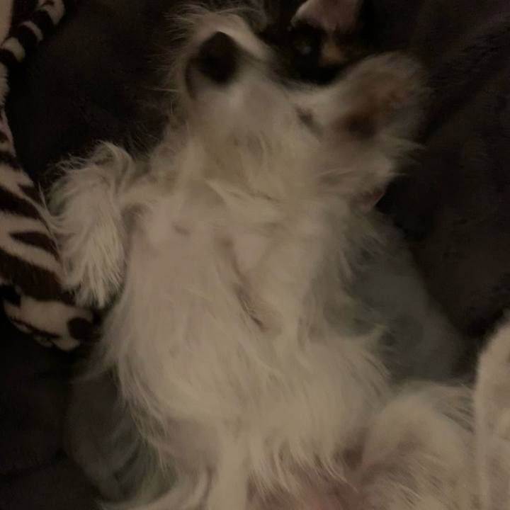 117838ff 85f8 46f6 bbc3 b135a092cf49 1698840951096