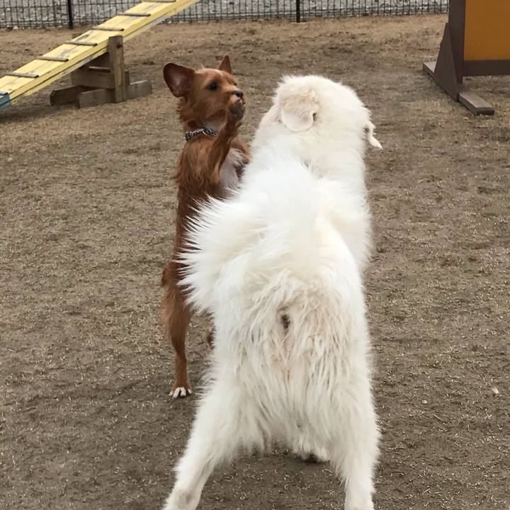 117847d6 68d0 41f6 897b aff5e082521a 1547282558732