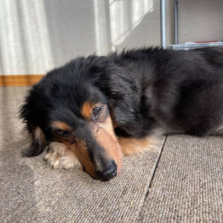 1178892a a192 47ee a194 2fda0558f0cc 1621460944518