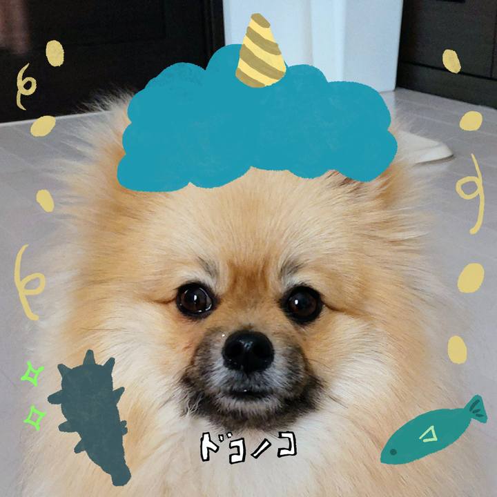 11789e3e fee1 410d 84fb 71092b5d42fc 1706786866181