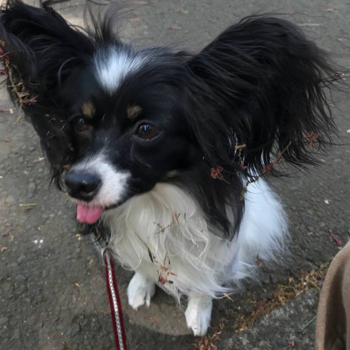 1178a8f7 76e9 4f76 90cc 259047556194 1523178050652