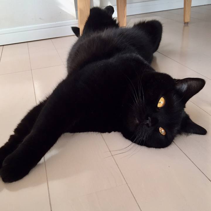 1178e84d 3ab9 41cc bb71 05054785b355 1558221646694