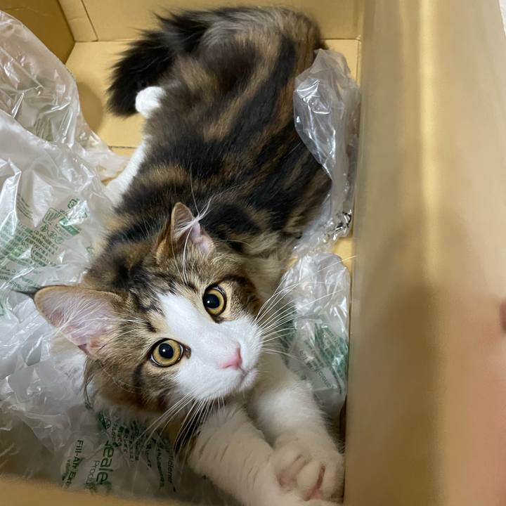 1178fd53 77a3 4bd5 97ac 12282c3a640d 1638274001429