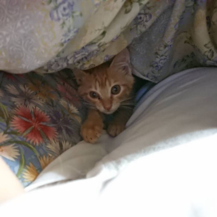 117939e5 5e08 46bc 8dbc 0c98cb013f7b 1629924537365