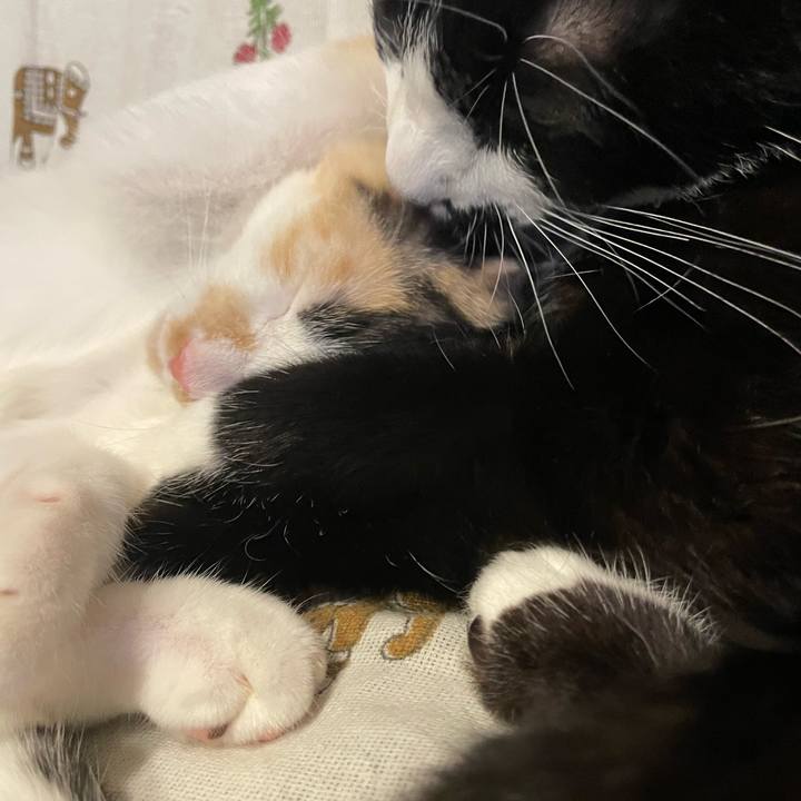 11794c78 2c9b 4fb6 a642 1945683d4813 1665584686155