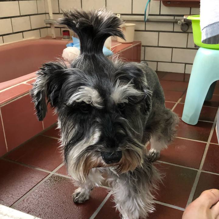 11797911 5852 45eb b5d3 04835c80bb05 1620552192495