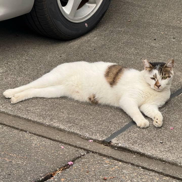 11798a2e 536b 488a 8677 1ff5ee3bf041 1754534298254