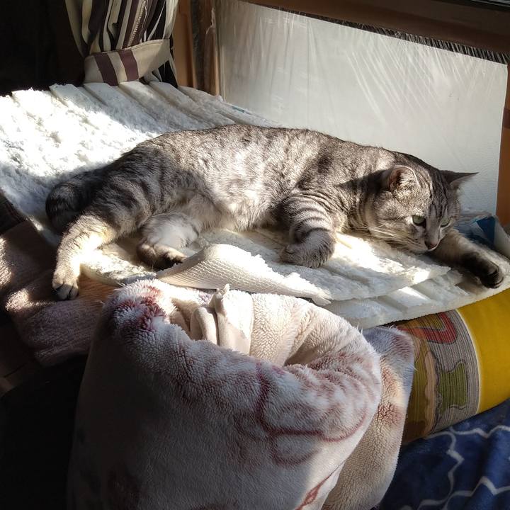 1179b1af e3d1 4c41 9d00 5124a6b0f480 1669172801032