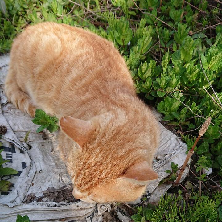 1179eba8 e92d 4986 b71c a8023274fd1b 1556434882738