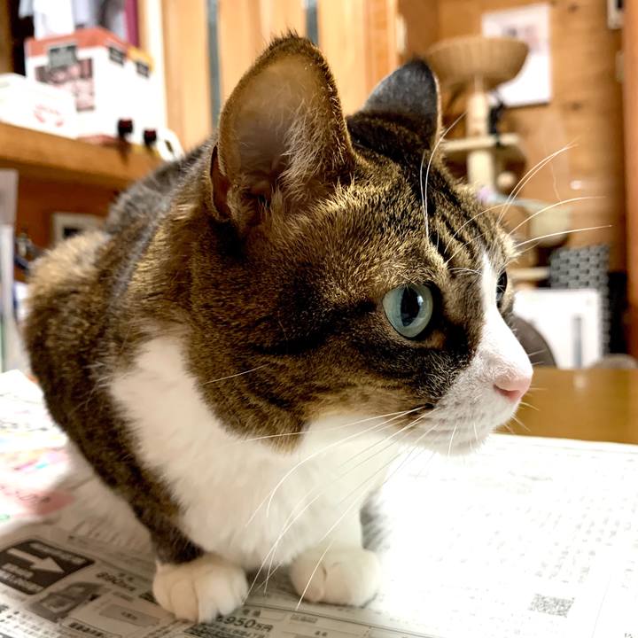 117a28b8 cdb1 46d3 84cb 483cbd5d9a4f 1583193494776