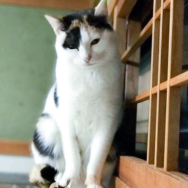 117a79e6 45c1 4271 a07c 545065a4afda 1515329296170