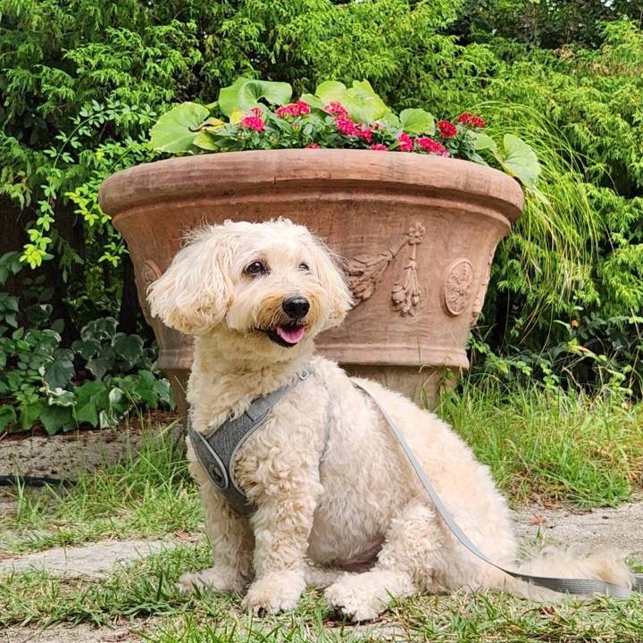 117a7e39 69ac 45fd b3e7 f4bde4bab435 1759887012153