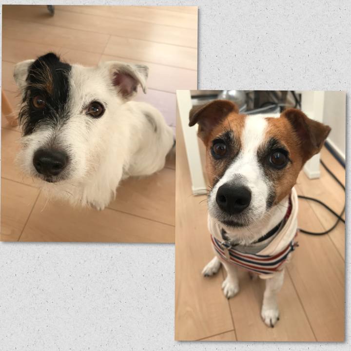 117ab0f4 7233 4d81 8833 8256021c780e 1509000403136