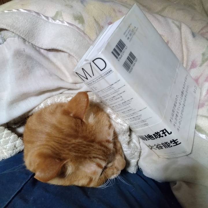 117ab108 7868 4490 8bfc 9c57922a4477 1774439018835