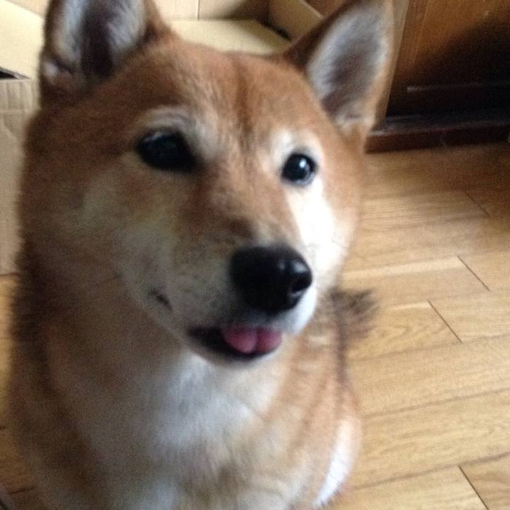 117ac0f9 df21 46b5 a56c 0509d99ffed0 1531278879090