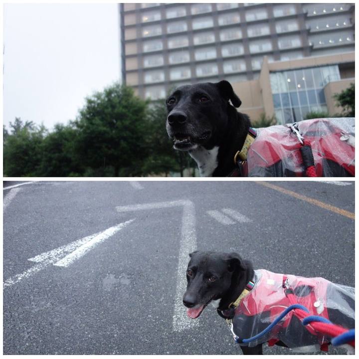 117ac41e f5a5 4c4e abcf 7dd0d6df525c 1625393189733