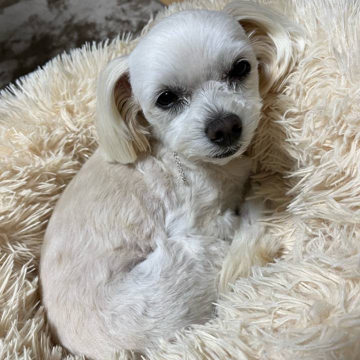 117af2fb 596c 48ad 8807 be3b5c61c80b 1669634369773