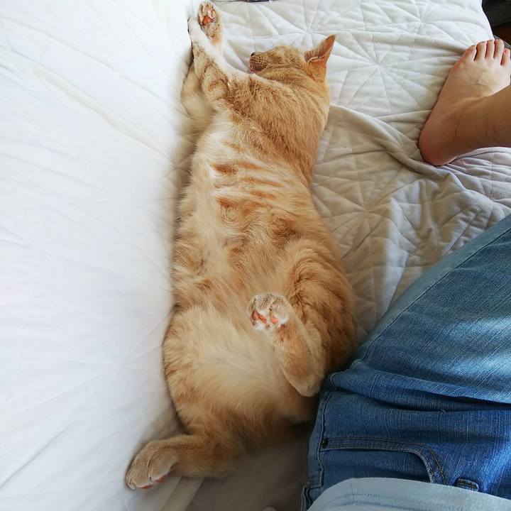 117af88c c0fb 404c a3ca f288a69002bc 1660277847331