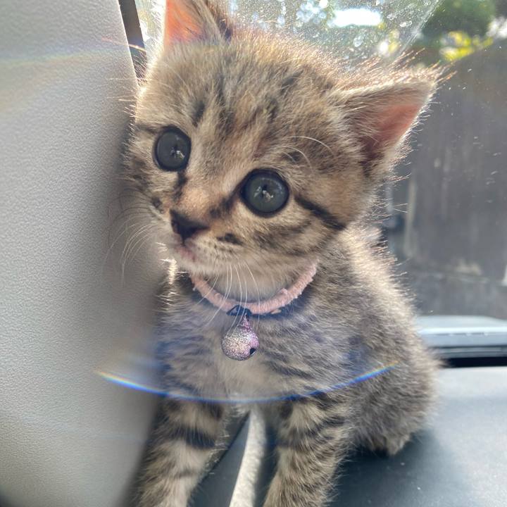 117b1265 a7b0 4b51 96cf 810ee10b32ba 1636945330368