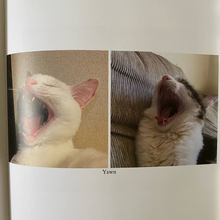 117b155b 6106 4681 90f6 a6ebe315f13b 1663284800124