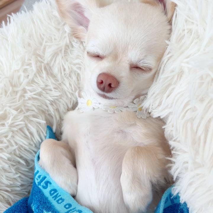 117b239b 6ffe 4a2b beb9 e64d370c5621 1685100799284