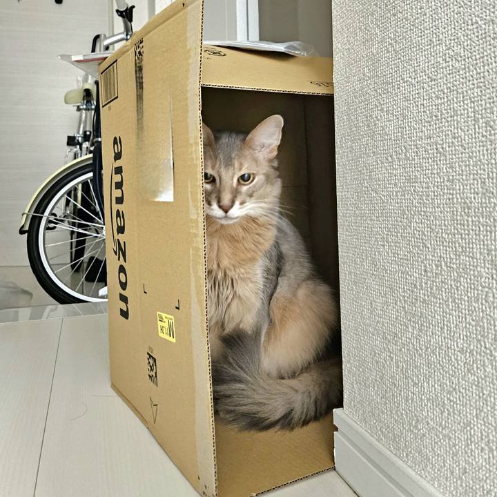 117b4d84 573d 427d bbb3 aef6236da019 1735258729053